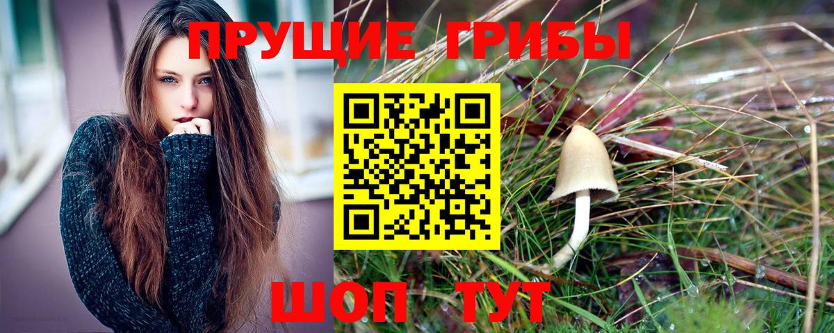 Верхняя Салда  Псилоцибиновые грибы Magic Shrooms  Вход с VPN 